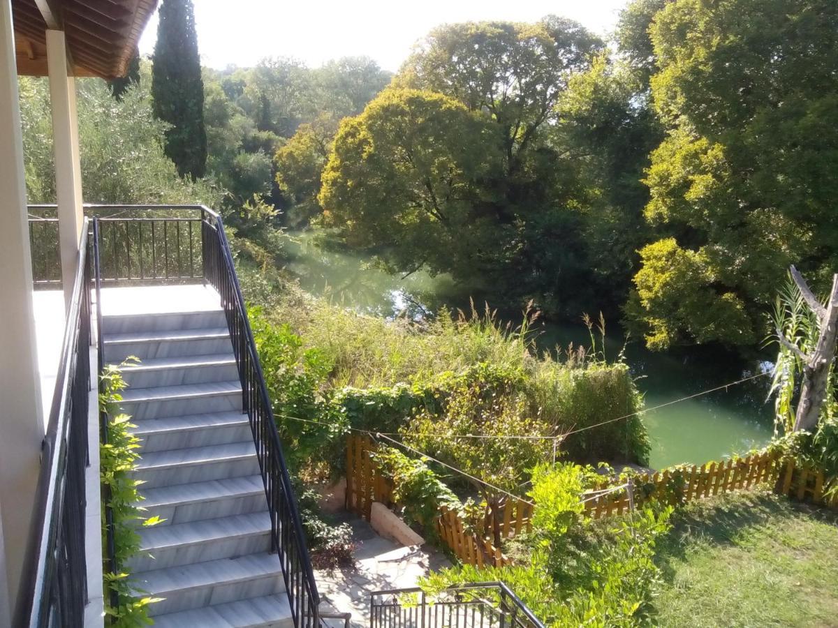 Georgina Family Apartments Meszongí Szoba fotó